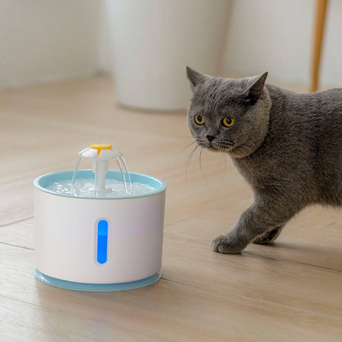 Water Fountain Replaceable Pet Water Dispenser