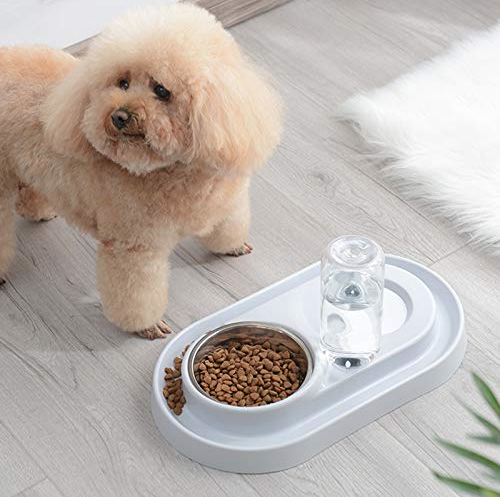 Stainless Steel Pet Bowls with Automatic Water Bottle