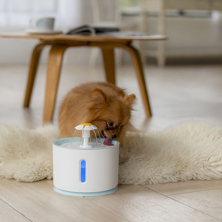 Water Fountain Replaceable Pet Water Dispenser