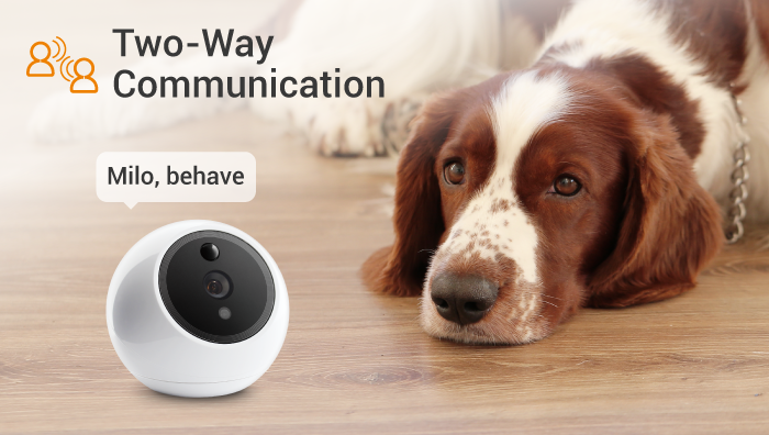 Apollo Pet Monitoring Camera - White, AI Detection, Night Vision